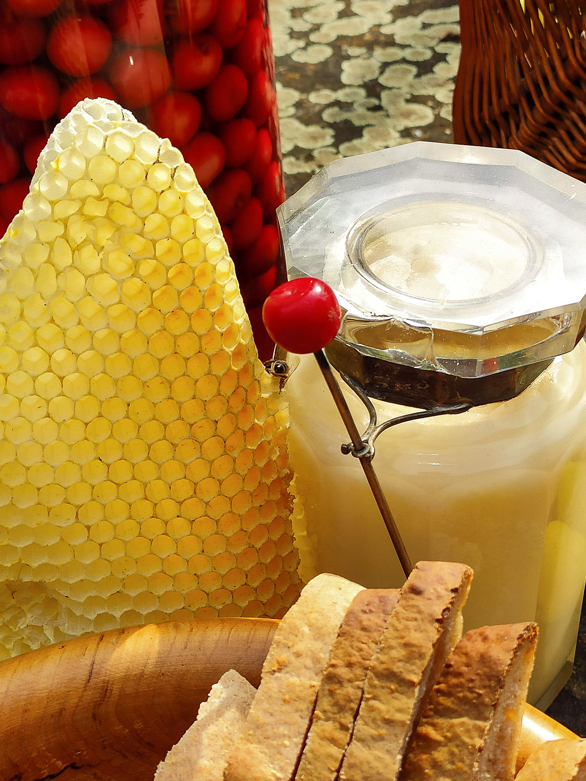 Piacenza dandelion honey 440g