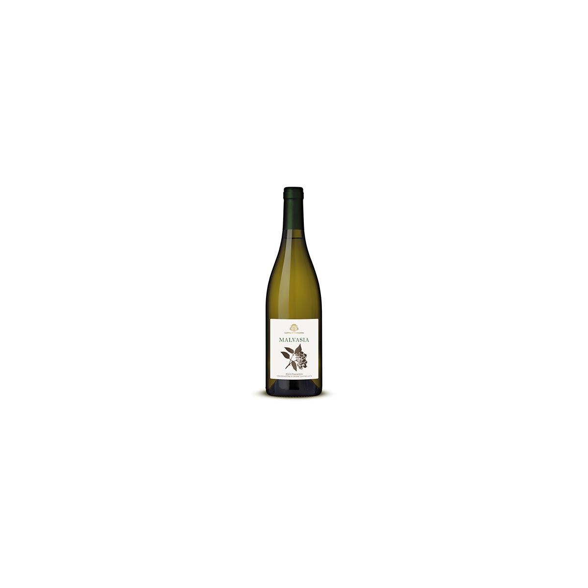 Malvasia Secco DOC
